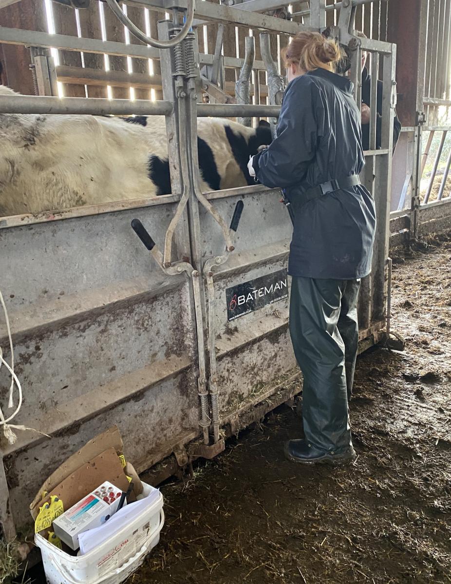 Vet Tech Services St.Boniface Veterinary Clinic